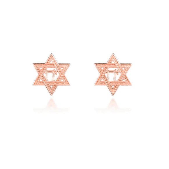 10K Solid Gold Star of David with Chai Stud Earrings - Yellow, Rose, or White